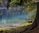 Медитация на озере